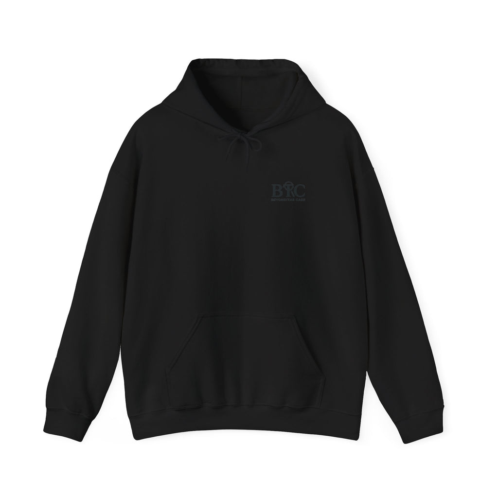 “I’m Not Nosy. I’m Investigating.” Hoodie