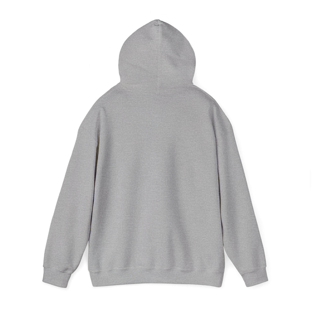 Plot Twist Hoodie